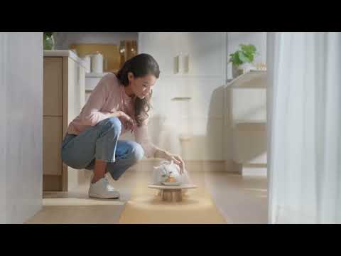 Purina Fancy Feast